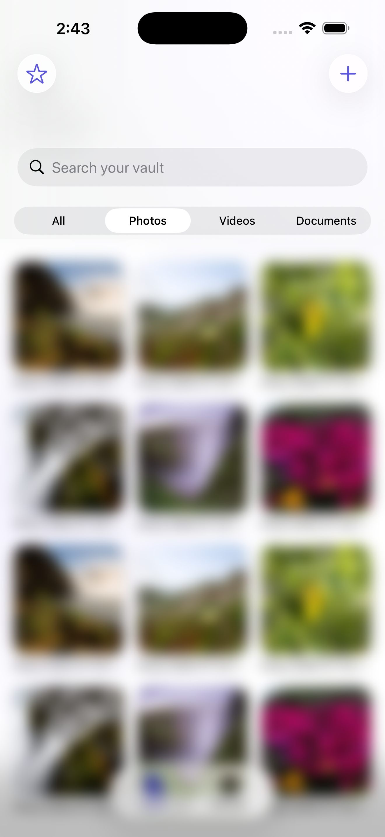 Private Vaulteck — encrypted photo vault grid